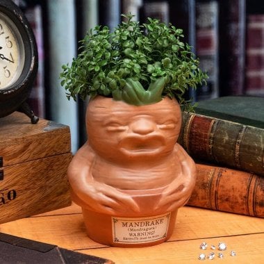Mandrake Root - Pen and plant pot - Harry Potter 0