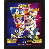 e Hedgehog - Select your fight - 3D poster with frame