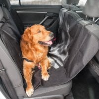 Car protection for animals dog 1