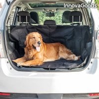 Car protection for animals dog