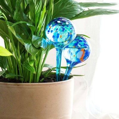 Automatic Watering Globes (Pack of 2) 1