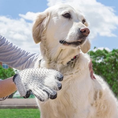 Pet Brush & Massage Glove